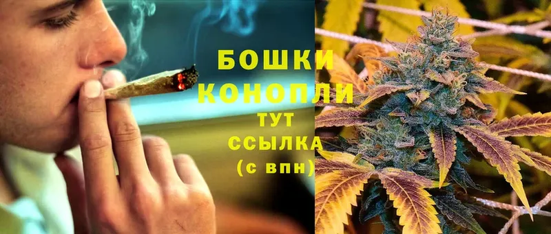 купить   Кольчугино  Каннабис Ganja 